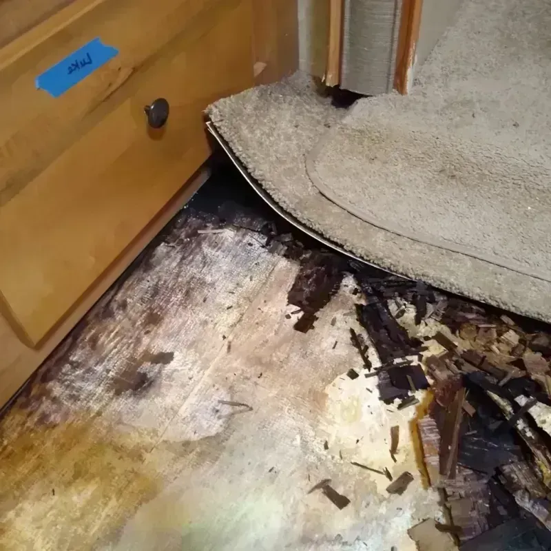 Wood Floor Water Damage in Manchester, MO